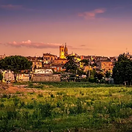 Cappone Morciano di Romagna