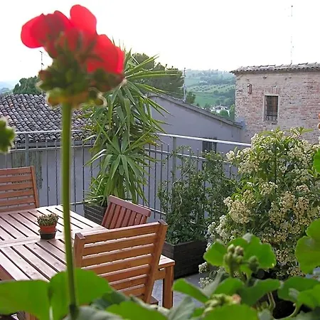 Cappone Morciano di Romagna